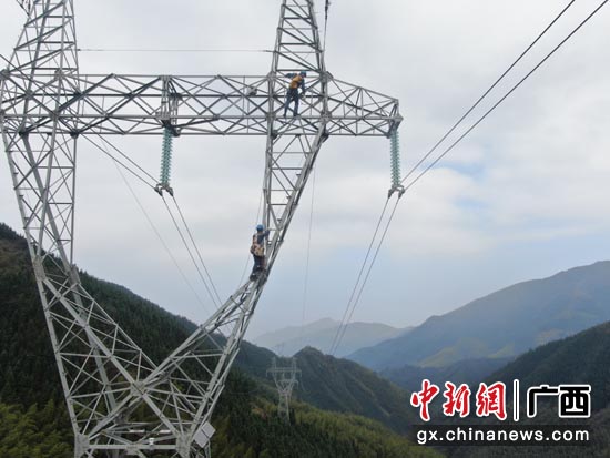 南方电网广西桂林供电局输电管理所人员高空维护覆冰监测预警装置。张郭琳摄