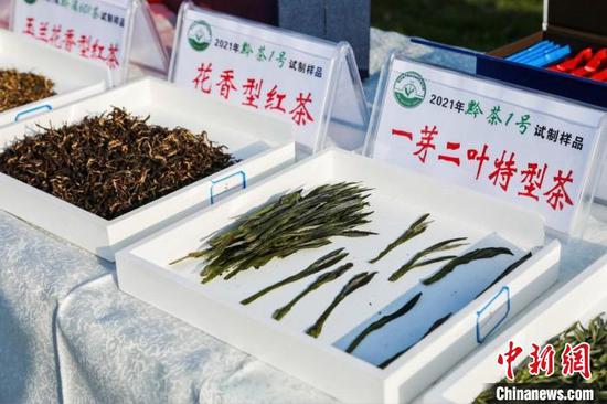 图为展示的贵州茶叶新品。　贵州省茶办供图