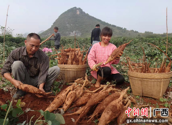 绩效管理分级治理 桂林平乐县沙子镇破解农村治理难题