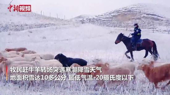 新疆伊犁寒潮來襲 民警幫牧民及羊群安全轉場