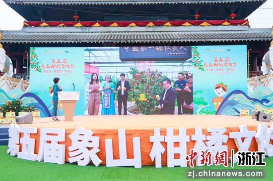  2021第五届象山柑橘文化节红美人开摘仪式活动现场。 兆丰年提供