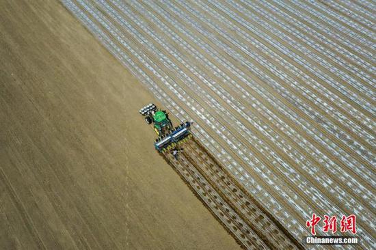 资料图：新疆棉农采用北斗卫星导航新技术开足马力播种棉花。年磊 摄