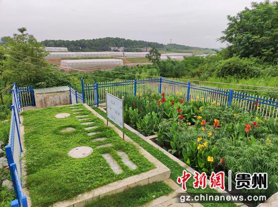 红枫湖镇民乐村簸箩口组25吨污水处理系统