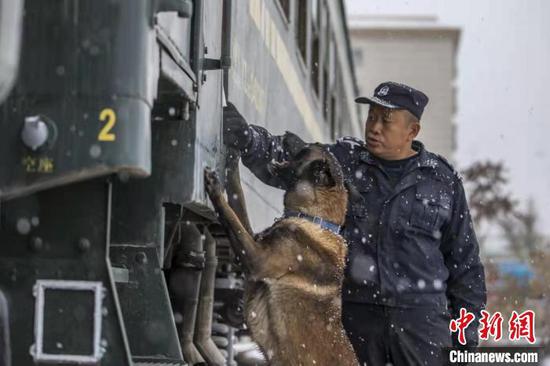 对警犬进行旅客列车可疑点嗅觉训练。　李国贤 摄