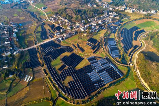 2021年11月18日拍摄的贵州省黔西市洪水镇新桥村羊肚菌种植基地一角（无人机照片）。