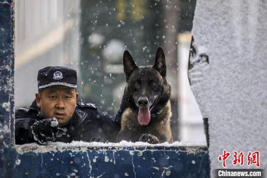 训犬员对警犬进行目标识别训练。　李国贤 摄