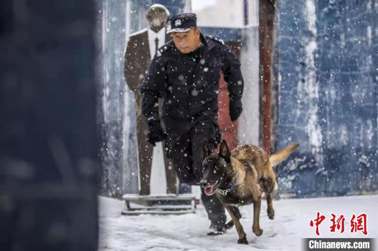 训练警犬在恶劣天气快速出击。　李国贤 摄