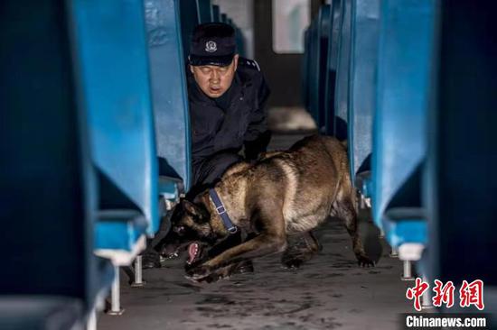 训练警犬对旅客列车进行可疑物查找。　李国贤 摄