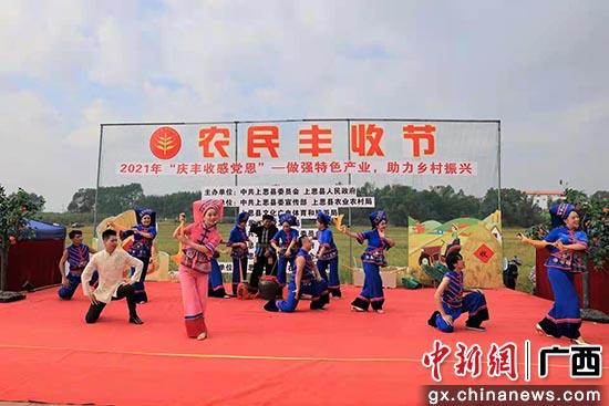 上思县在妙镇佛子村举办“农民丰收节”。何俊飞 摄