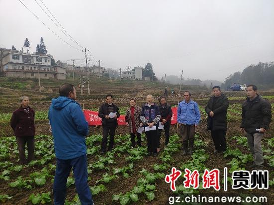 贵州省清镇市今年完成油菜种植13.7万亩