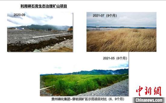 贵州磷化集团--穿岩洞矿区利用磷石膏生态治理矿山对比图。受访者供图