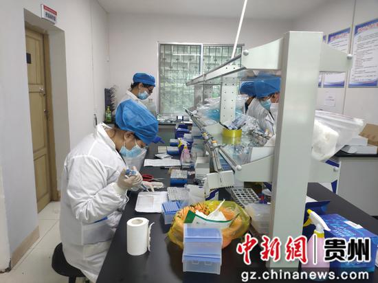 贵州省清镇市开展动物疫病防控免疫抗体集中检测