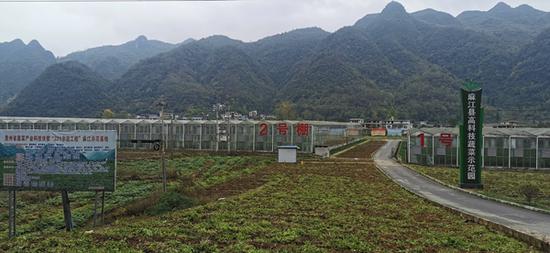 坝芒乡高科技蔬菜示范园。