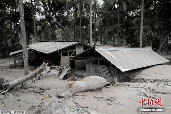 当地时间12月5日，据印尼国家抗灾署通报，截至当天17时30分，该国东爪哇省塞梅鲁火山喷发已造成14人遇难、56人受伤入院。据悉，当地时间4日15时许，位于印尼东爪哇省境内的塞梅鲁火山在大雨中剧烈喷发，形成火山灰雨覆盖了附近10多个村庄，火山喷出的熔岩顺着山坡流入附近河流。图为村庄里的房屋遭火山灰侵袭。