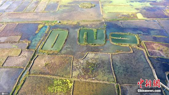 2021年12月6日，贵州省黔西南布依族苗族自治州安龙县招堤国家湿地公园荷塘色彩斑斓，从空中俯瞰，犹如调色盘，蔚为壮观。 图片来源：ICphoto