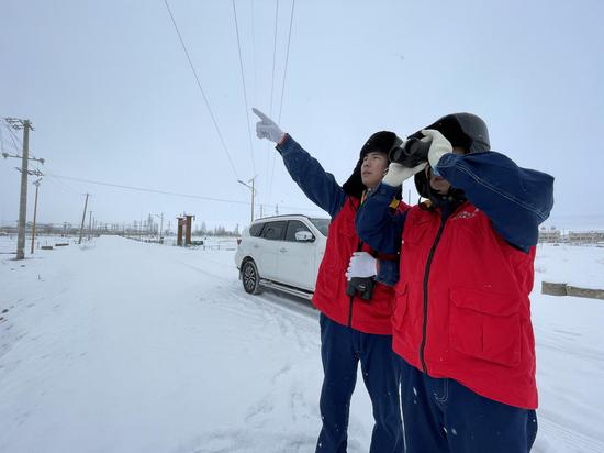 12月15日国网哈密供电公司员工冒雪对110千伏马轻线进行特殊巡视保障群众安全用电。冯洋 摄