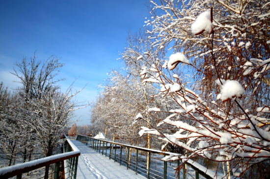 察布查爾錫伯自治縣初雪后的一夜間，整個縣城一片銀裝素裹的美麗景象。
