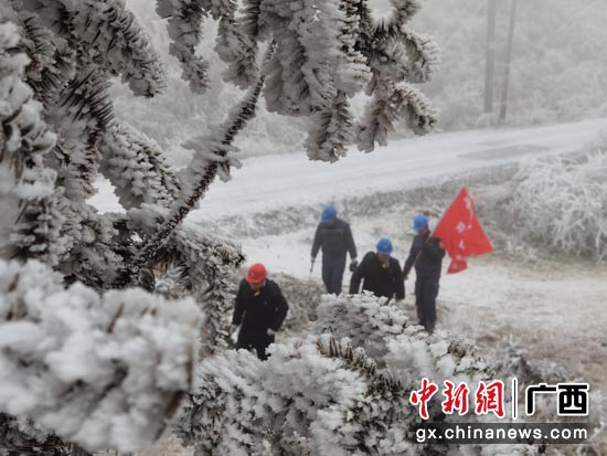 12月27日，南方电网广西桂林供电局党员突击队对受寒潮影响覆冰的220千伏字黄线开展特殊巡视。莫晓姣 摄