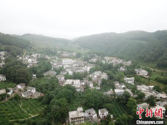 赫章县海雀村生态经济林一隅。　岳旺 摄
