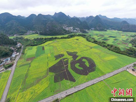 1月2日，航拍贵州万峰林油菜花田内的“福”字景观。　瞿宏伦 摄
