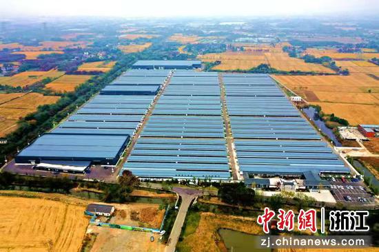 湖羊养殖基地航拍 许旭 摄