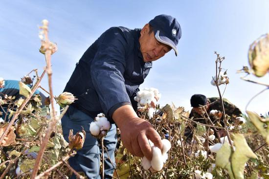 图为自治区联社驻泽普县奎依巴格乡奎依巴格村工作队队员帮助农民采摘棉花。 张译文 摄
