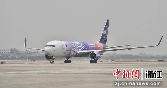 喷涂着杭州亚运会标志的宽体货机在杭州萧山国际机场滑行。王刚 摄