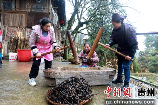 贵州省剑河县南寨镇懂达村，村民在捶打蕨根。杨家孟 摄