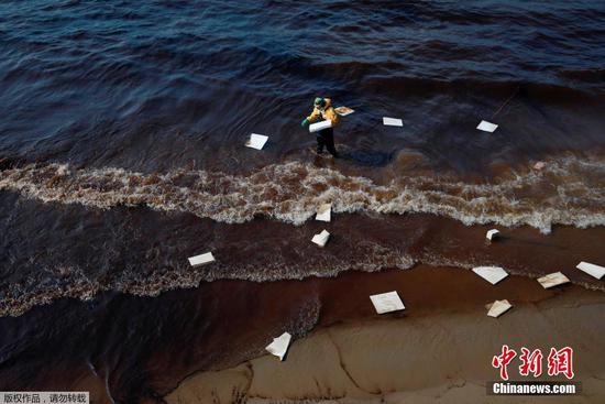当地时间1月29日，据报道，泰国东部的一个海滩因海底原油管道泄漏，被宣布为灾区，泄漏的原油持续冲刷海岸，沙滩被染黑。