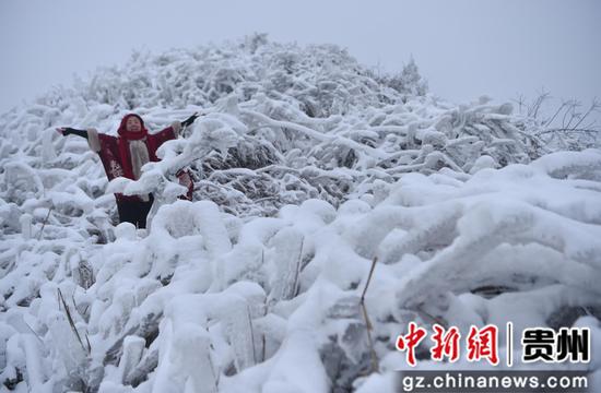 游客在贵州省铜仁市松桃苗族自治县盘石镇当造村红石林赏雪。