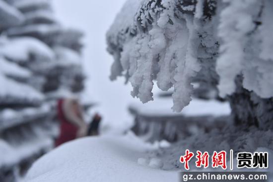 2022年2月1日，游客在贵州省铜仁市松桃苗族自治县盘石镇当造村红石林赏雪。