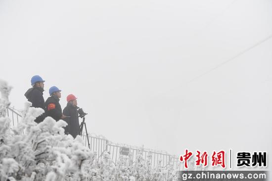 毕节供电局春节保供电党员突击队的队员们在观测110千伏赫韭线覆冰情况  程基  摄