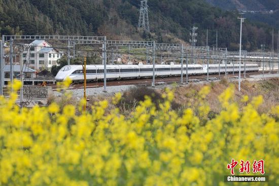 2月7日，动车组列车从贵广高铁贵州省黔东南州从江县境内的油菜花田旁驶过。随着气温回升，从江县境内的油菜花竞相绽放，田间春意盎然。 中新社记者 瞿宏伦 摄