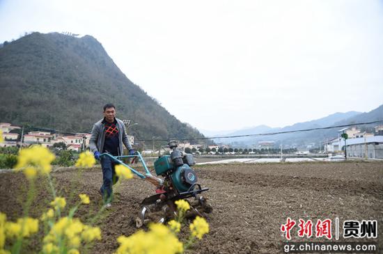 罗甸县祥脚村群众在用耕田机耕田，准备春种。