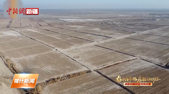 ?喀什地區：沙包變良田 迎來豐收年