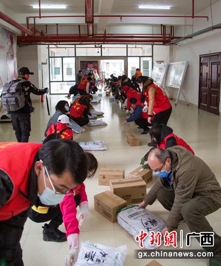 人民银行百色市中心支行青年志愿者在搬运隔离物资。刘桂武 摄