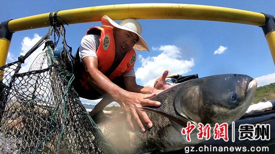 贵州省黔西南州“渔+”多产业融合发展模式初显成效