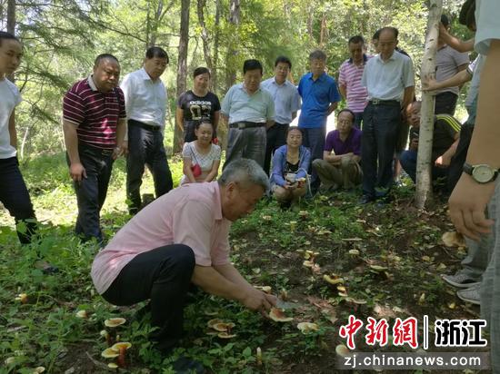 韩省华指导林下灵芝种植。  九三学社杭州市委会 供图