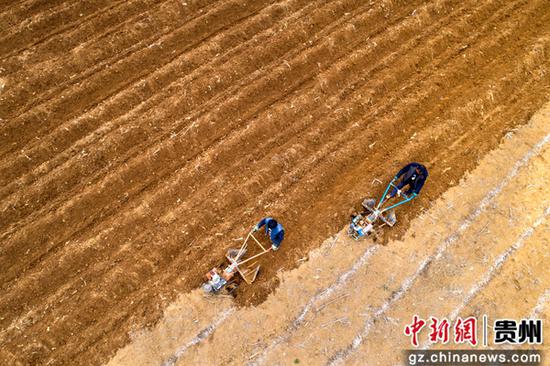 3月5日，贵州省黔西市杜鹃街道岔白社区，村民驾驶微耕机在田间起垄（无人机照片）。