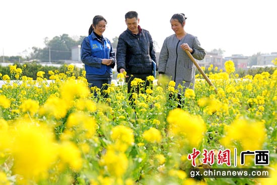 梁桂芸（左一）在田间地头了解农户春季蔬菜种植情况。马华斌 摄
