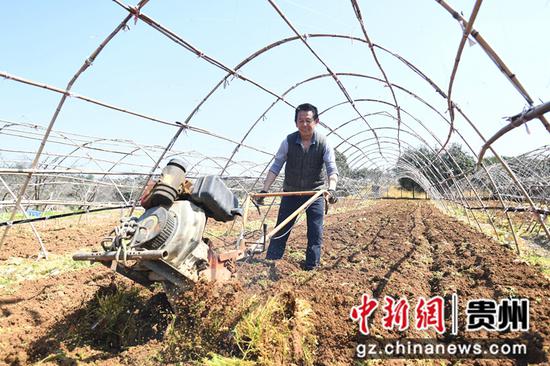 3月8日，贵阳市南明区永乐乡水塘村一村民正在犁地松土。