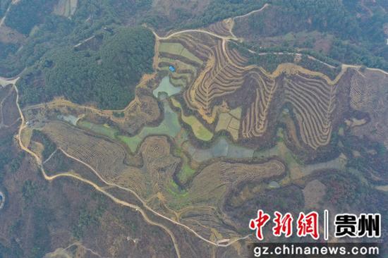 贵州剑河：“山呼海应”启新程 千亩沃土绘新景