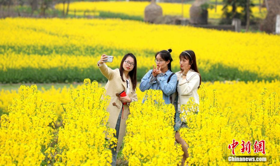 图为游客在油菜花田里拍照留念。 奉力 摄