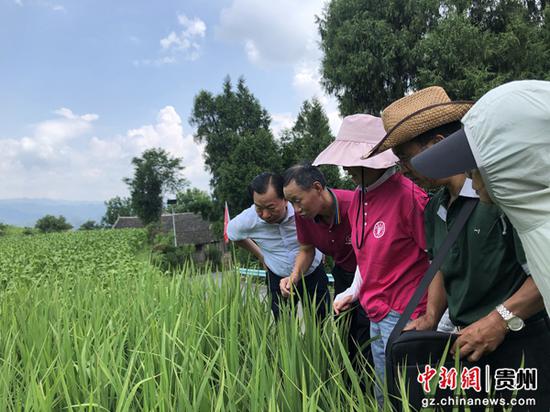 贵州省农业农村厅积极支持红色美丽村庄试点建设工作
