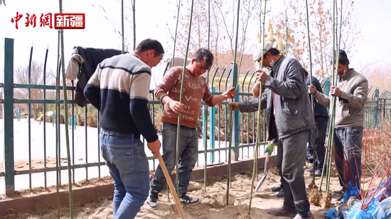 新疆莎车县：植树添新绿 播种新希望