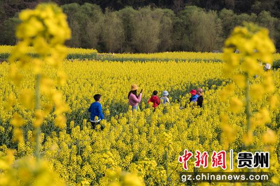 2022年3月12日，游人在贵州省黔西市洪水镇解放村乡村旅游景区观赏油菜花。