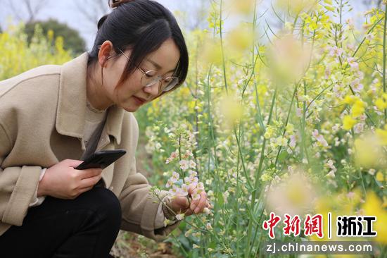 游客在“七彩油菜花”田近距离欣赏油菜花