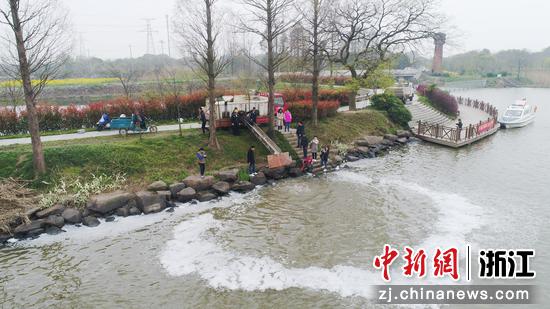志愿者们将鱼投入苎溪漾 俞大庆 摄