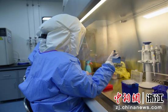 实验室工作人员进行检测。 杭州市疾控中心 供图