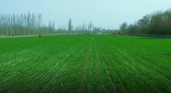 新疆喀什：“綠色通道”+“智慧灌溉”水肥一體化服務春農